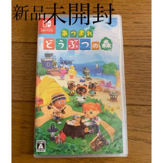 ニンテンドースイッチ(Nintendo Switch)のあつまれどうぶつの森(その他)