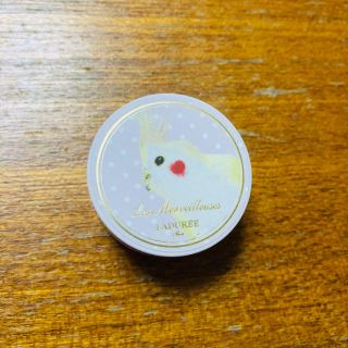 ラデュレ(LADUREE)のラデュレ チーク 未使用(チーク)