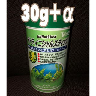 テトラ(Tetra)のテトラ イニシャルスティック　30g +α(アクアリウム)