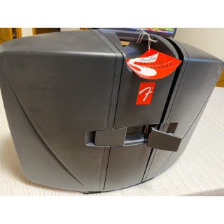 早い者勝ち】阪神優勝⑤フェンダー PR246 真空管 アンプ-nielitexams.com