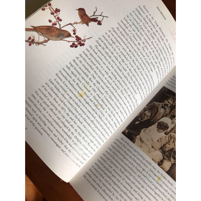 洋書古書 The Country DIARY christmas bookの通販 by Quatre 洋書古書 The Country DIARY christmas bookの通販 by Quatre