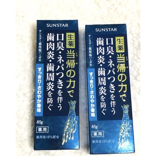 サンスター(SUNSTAR)の✨新品、未開封✨サンスター薬用塩歯磨き　当帰の力　２本セット(歯磨き粉)