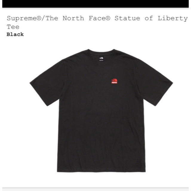 Supreme(シュプリーム)の【新品】The North Face Statue of Liberty Tee メンズのトップス(Tシャツ/カットソー(半袖/袖なし))の商品写真