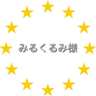 カワダ(Kawada)のみるくるみ様　専用　アイロンビーズ (各種パーツ)