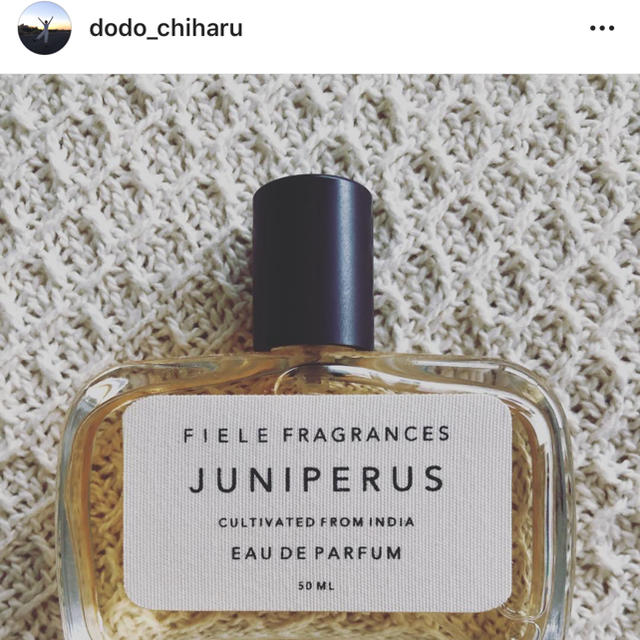 FIELE FRAGRANCES JUNIPERUS