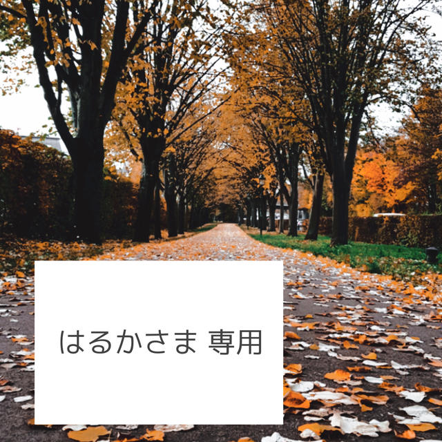 【はるかさま専用】折鶴、色当てクイズセット ハンドメイドのウェディング(その他)の商品写真