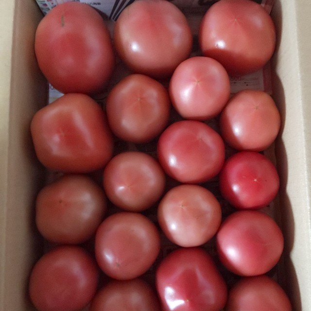 麗月トマト 2㌔ 食品/飲料/酒の食品(野菜)の商品写真