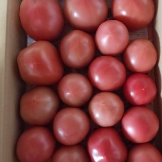 麗月トマト2キロ(野菜)