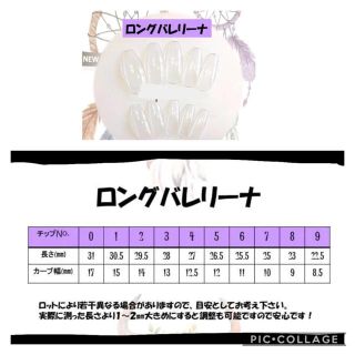 NO.10  ネイルチップ コスメ/美容のネイル(つけ爪/ネイルチップ)の商品写真