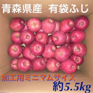 加工用 有袋ふじ りんご 青森県産 産地直送 訳あり(フルーツ)