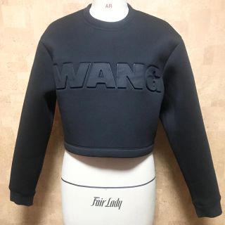 アレキサンダーワン(Alexander Wang)のAlexanderwang H&M  ボンディングスウェット(トレーナー/スウェット)