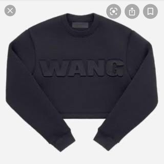 アレキサンダーワン(Alexander Wang)のAlexanderwang H&M  アレキサンダーワン ダンボールスウェット(トレーナー/スウェット)