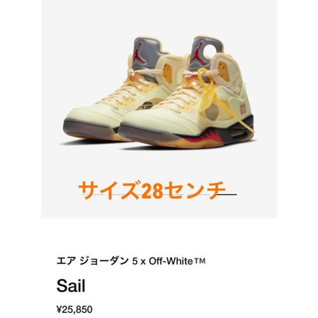 NIKEエアジョーダン5×オフホワイトサイズ28メンズ