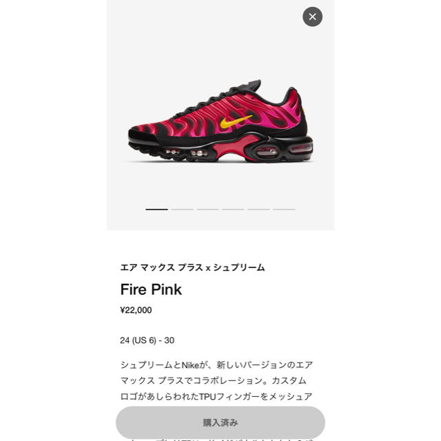 27 Supreme Nike Air Max Plus シュプリーム ナイキ