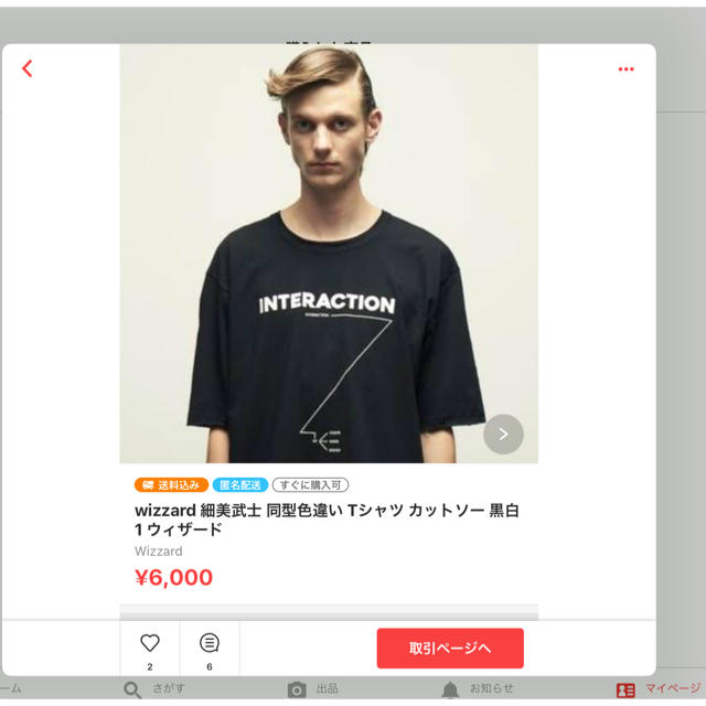 wizzard 細美武士 同型色違い Tシャツ カットソー 黒白 1 ウィザード