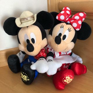 ディズニー(Disney)のディズニーミッキー&ミニー(キャラクターグッズ)