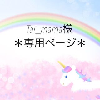 ＊Tai_mama様専用ページ＊(チャーム)