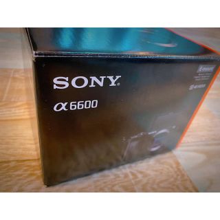 ソニー(SONY)の使用回数5回 ！ SONY a6600 ボディ 豪華特典多数！予備バッテリーあり(ミラーレス一眼)