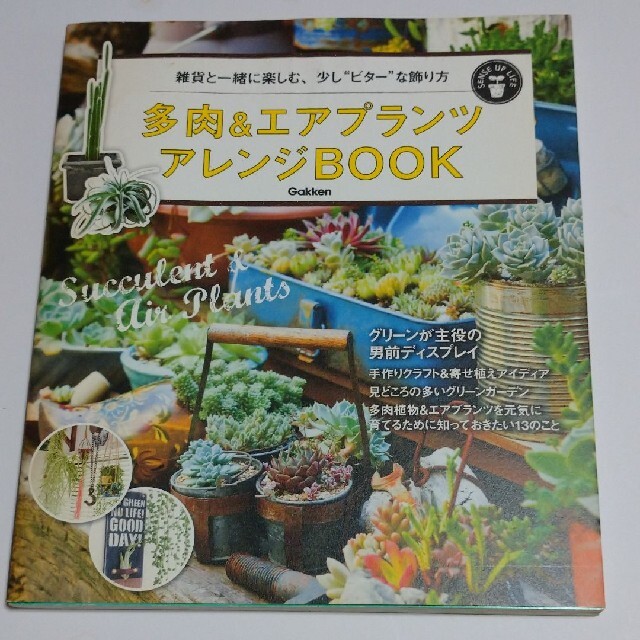 はじめての多肉植物ガ－デン 小さなスペ－スで楽しむ エンタメ/ホビーの本(趣味/スポーツ/実用)の商品写真