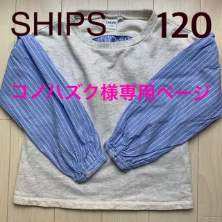 シップス(SHIPS)の★コノハズク様専用★SHIPS 120  薄手トレーナー シャツ カットソー(Tシャツ/カットソー)