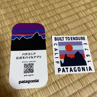 パタゴニア(patagonia)のパタゴニア　シール(その他)