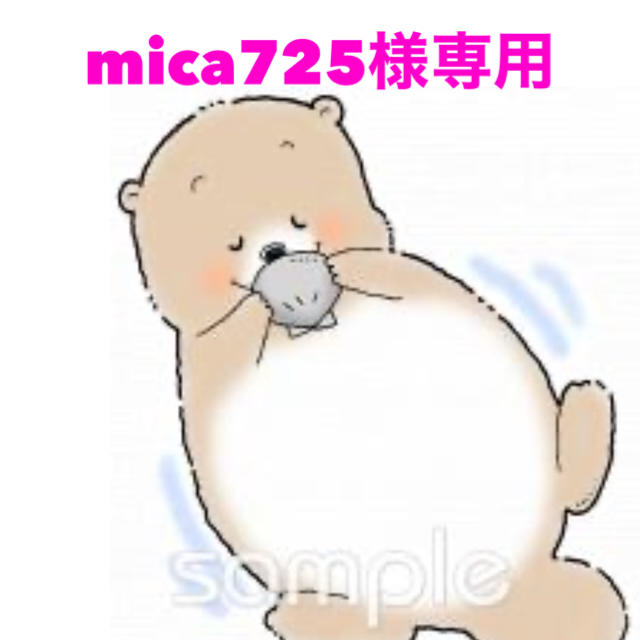 mica725様専用 食品/飲料/酒の食品(菓子/デザート)の商品写真