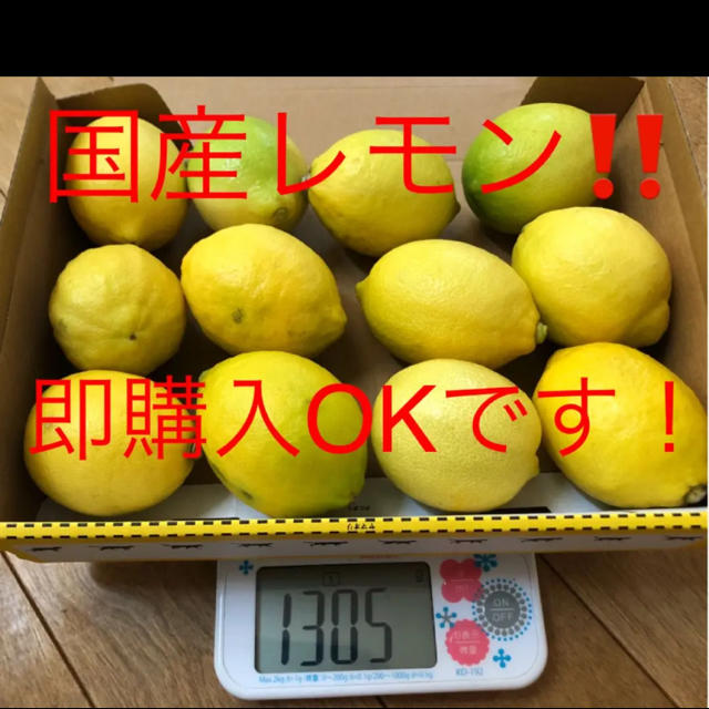 国産　広島レモン　グリーンレモン　12個 食品/飲料/酒の食品(フルーツ)の商品写真
