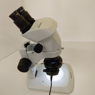 オリンパス(OLYMPUS)のCHINJI55様専用【良品】双眼実体顕微鏡  SZ61 総合倍率6.7~45倍(その他)