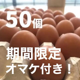 蔵王鶏園の「眠れる森のたまご」(野菜)