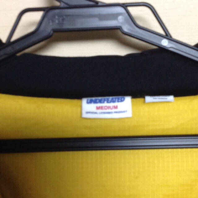 UNDEFEATED(アンディフィーテッド)のundefeated INSULATED PARKA  メンズのジャケット/アウター(マウンテンパーカー)の商品写真