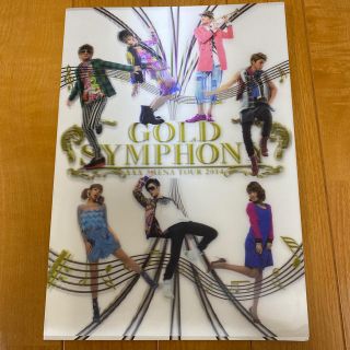 トリプルエー(AAA)のAAA GOLD SYMPHONY 2014ツアーパンフレット(ミュージック)