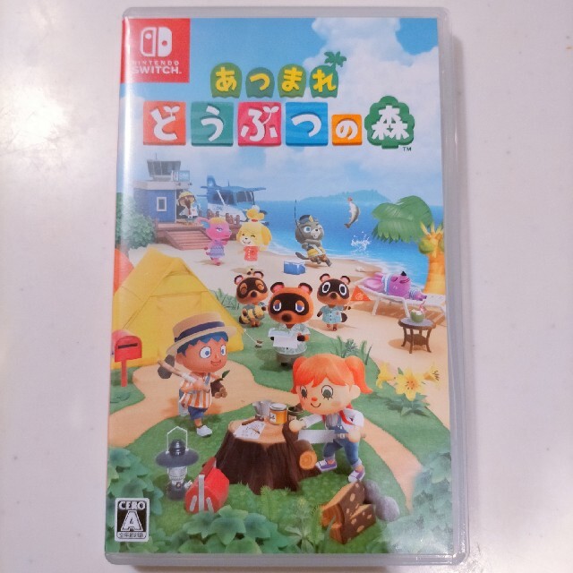 ニンテンドースイッチ どうぶつの森セット