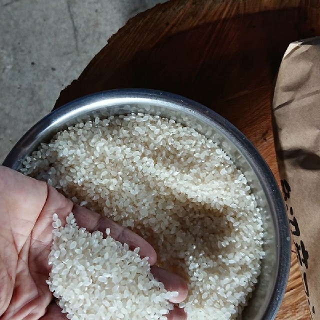 魚沼産コシヒカリ令和2年新米 玄米20キロ保有米農家直送 食品/飲料/酒の食品(米/穀物)の商品写真