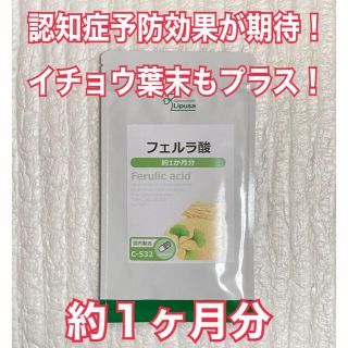 認知症予防効果が期待！イチョウ葉末もプラス！ フェルラ酸　約１ヶ月分(その他)