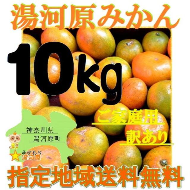 みかん 10kg🍊訳あり ご家庭用 不選別 湯河原みかん数量限定.... 食品/飲料/酒の食品(フルーツ)の商品写真