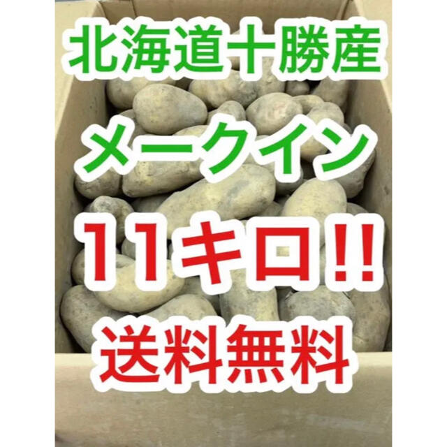 北海道十勝産じゃがいも　メークイン11kg（10kg＋1kg） 食品/飲料/酒の食品(野菜)の商品写真