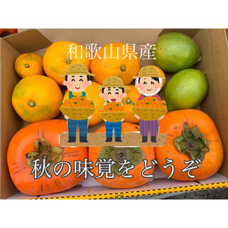 和歌山県産　みかん　柿　レモン　詰め合わせ　低 農薬(フルーツ)