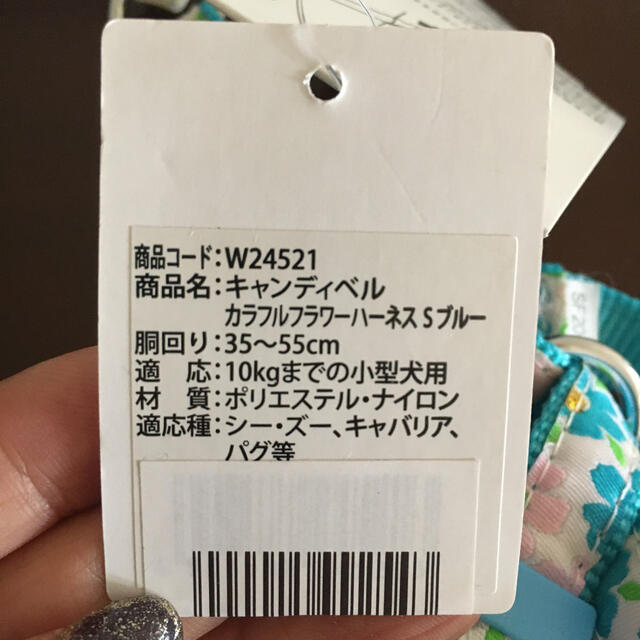 ペティオリード胴輪セット その他のペット用品(犬)の商品写真