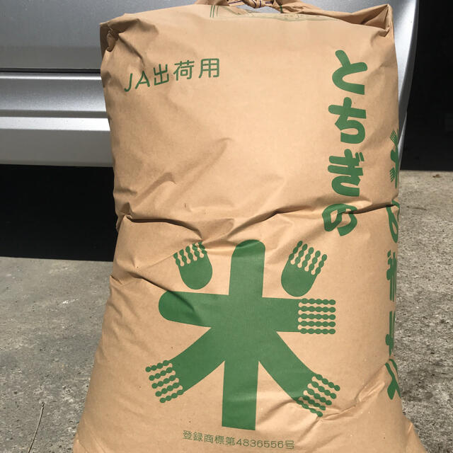 令和2年産栃木県産コシヒカリ玄米30キロ食品