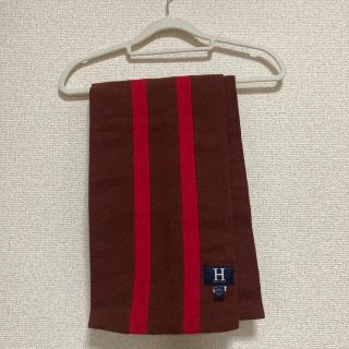 トミーヒルフィガー(TOMMY HILFIGER)のトミーヒルフィガー　マフラー(マフラー/ショール)