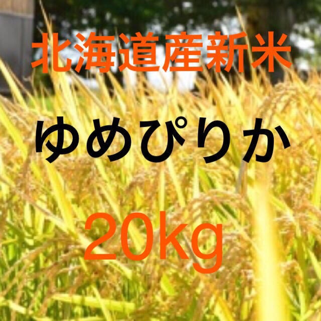20kg　ゆめぴりか　白米　米/穀物