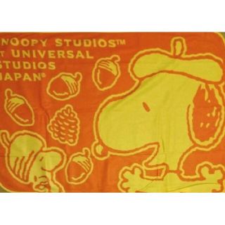 スヌーピー(SNOOPY)の値下げ！★新品未使用★日本生命スヌーピーブランケット(キャラクターグッズ)