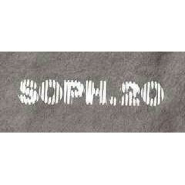 SOPH(ソフ)のSoph.20 ソフ20周年記念 SMALL TOTE BAG トートバッグ灰 メンズのバッグ(トートバッグ)の商品写真