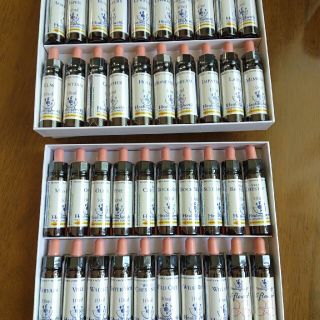 ニールズヤード(NEAL'S YARD)の1本■ヒーリングハーブス社フラワーエッセンス■Healing Herbs10ml(その他)