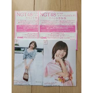 エヌジーティーフォーティーエイト(NGT48)のNGT48 シャーベットピンク 生写真 山田野絵(アイドルグッズ)