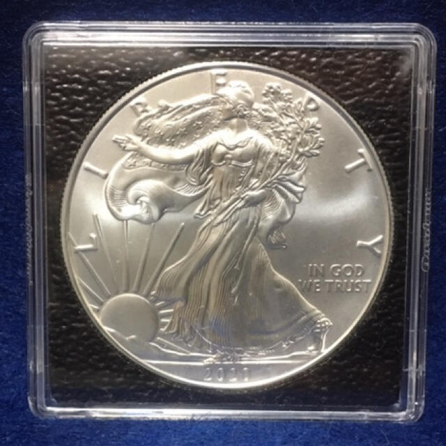 １枚 ケース入り アメリカ銀貨 シルバーイーグル 純銀 銀貨 コイン 銀地金