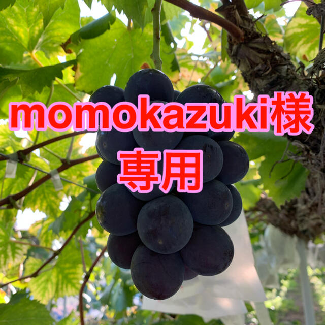momokazuki様専用　ピオーネ2キロ 食品/飲料/酒の食品(フルーツ)の商品写真