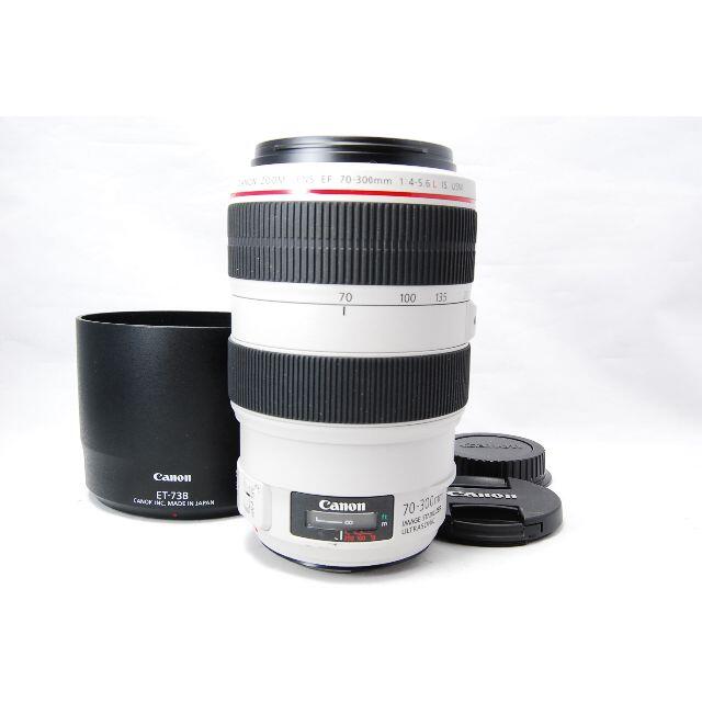 Canon EF 70-300mm F4-5.6 L IS USM