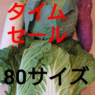 80サイズ★5キロ入り★野菜詰め合わせセット★(野菜)