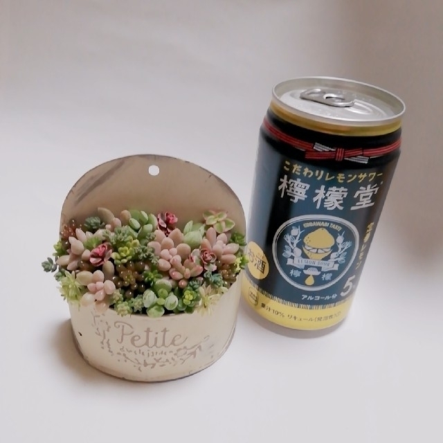 多肉植物 そのまま飾れる 寄せ植え ハンドメイドのフラワー/ガーデン(その他)の商品写真